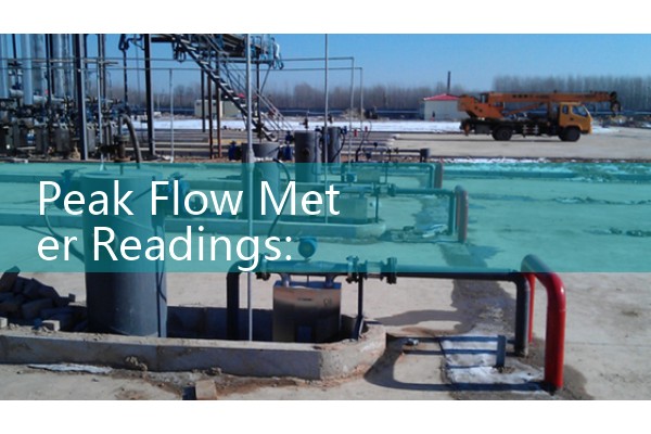 Peak Flow Meter Readings: Interpreting Daily Manual and Electronic Scale Data